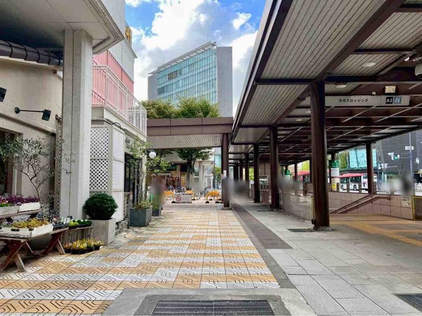 ぐりーんはうすサム 万代店