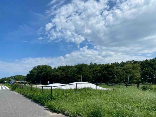 にいがた氷菓（アイス）の陣
