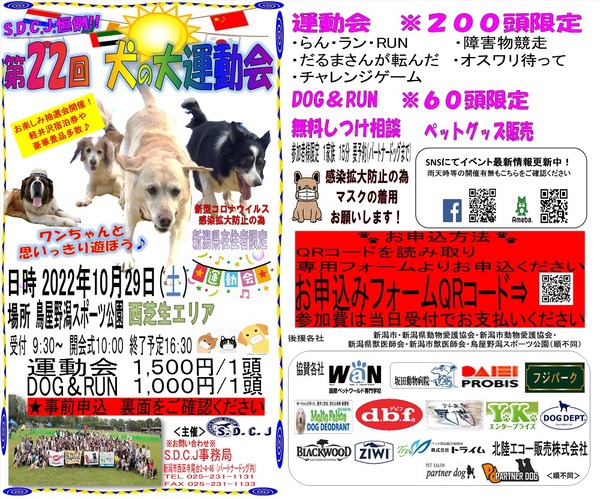 306088307_2656353057829415_4146187741748335214_n