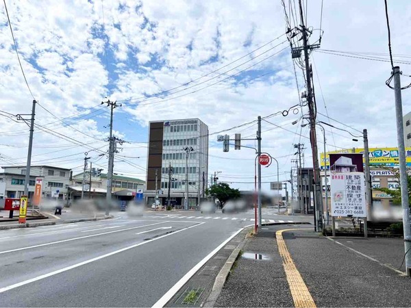 KAMEDA Cherry Blossoms