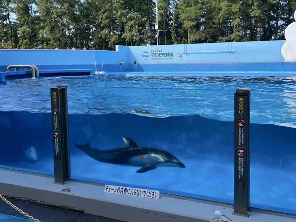 イベントまとめ