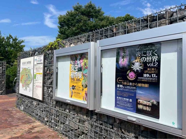 新潟県立植物園  企画展示「食虫植物展」 夜に咲く花の世界
