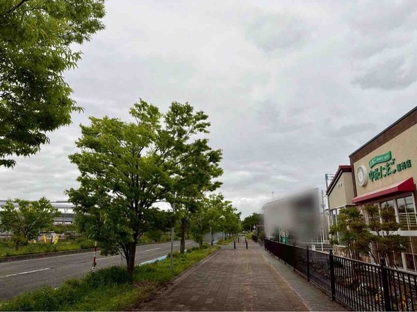 たまごsweets cafe 中条たまご直売店