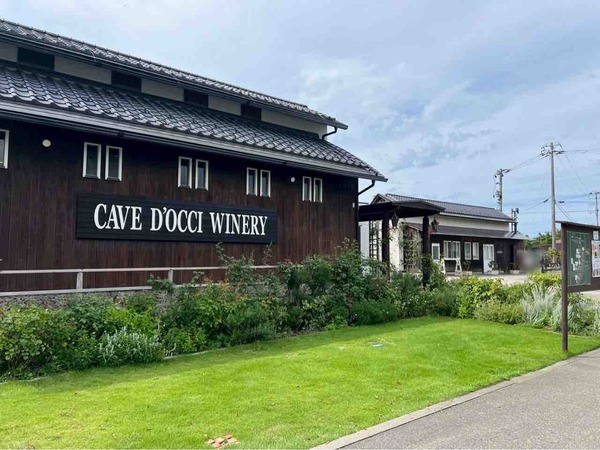 ワインフェスタ 2025～新潟ワインコースト巡り～（Wine Festa）