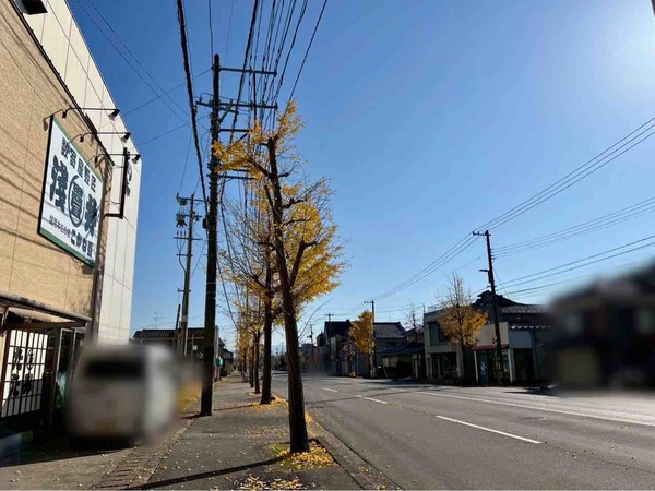 水の都の漢方薬局