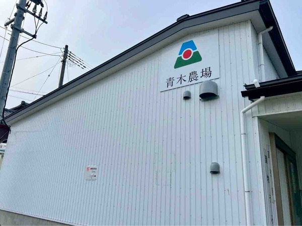 青木農場 農場直売会