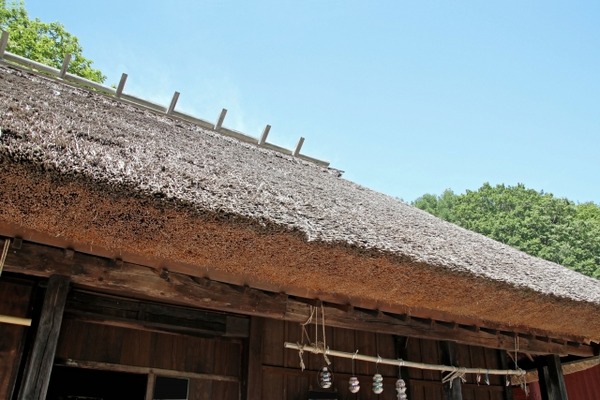 出川哲朗の充電させてもらえませんか？