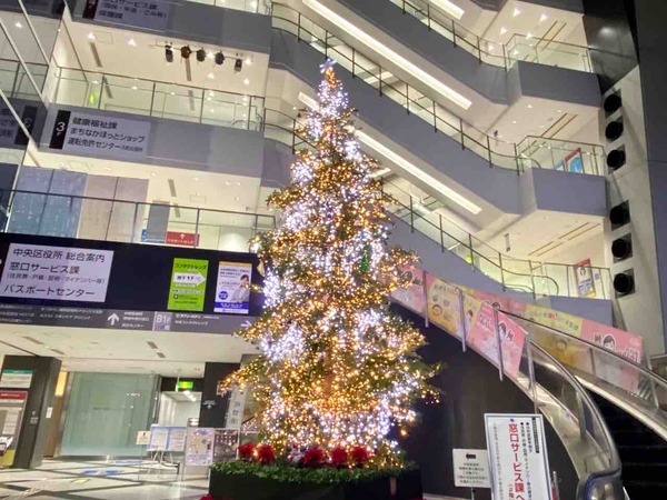 NEXT21 クリスマスツリー展示