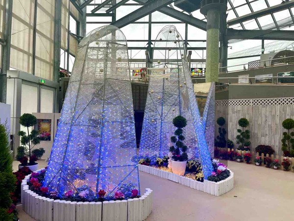 新潟県立植物園 クリスマス展
