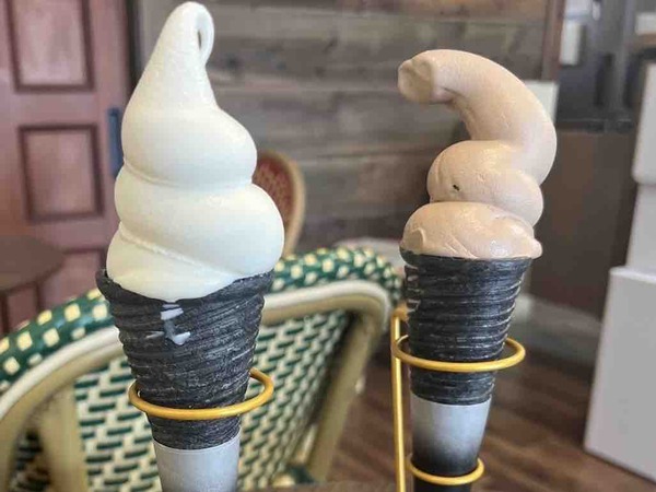 Gecko SOFT CREAM(ゲッコー)