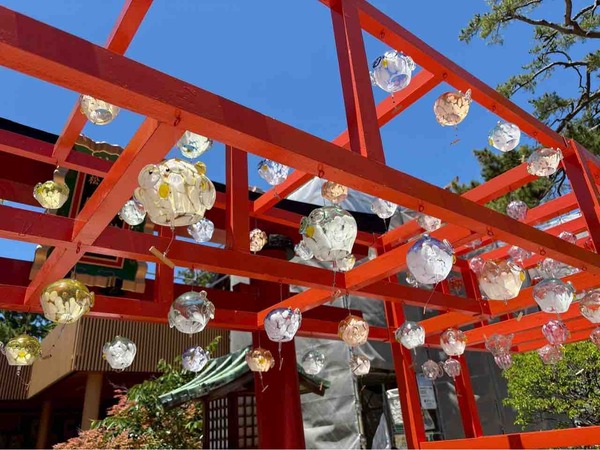 風鈴が並ぶ！夏の催し盛りだくさん！『白山神社』で『七夕風鈴まつり』『白山さまの蓮まつり』『白山さまの夏まつり』開催！6月10日～7月18日。