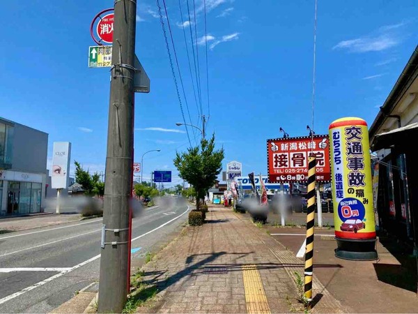 鴨とささ樹