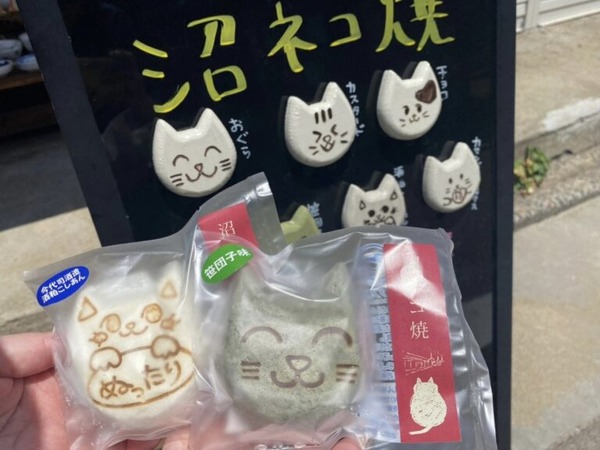 ねこmarché