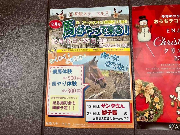 馬がやって来る!