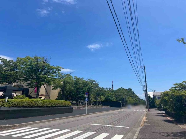 リトルモンスター展 「うゎっ」と「ぅわぁ～」のいきものたち