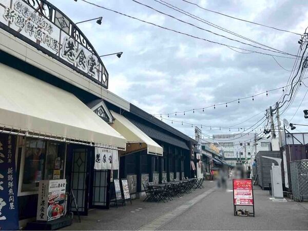 新潟に飲みにきませんか?