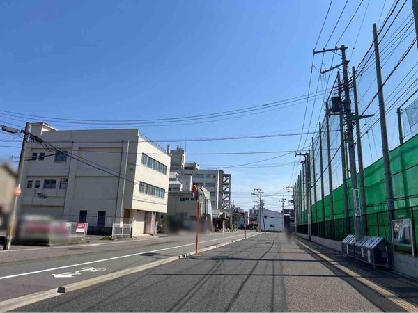 植物天国 in 白山市場