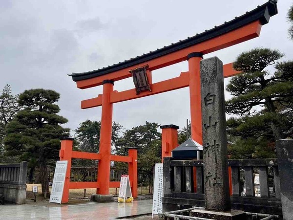 白山神社 梅の花