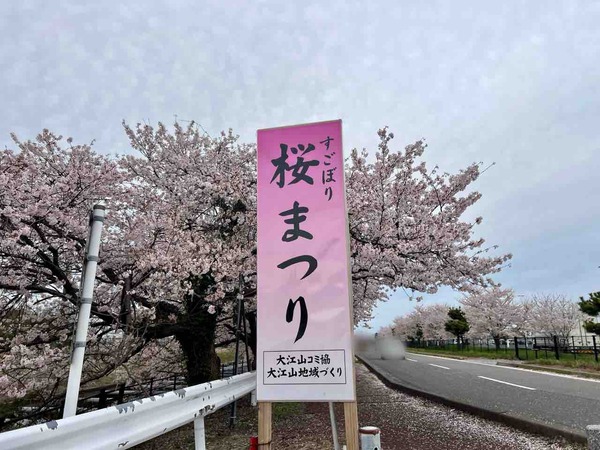 すごぼり桜まつりマルシェ