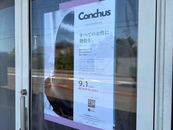 Conchus