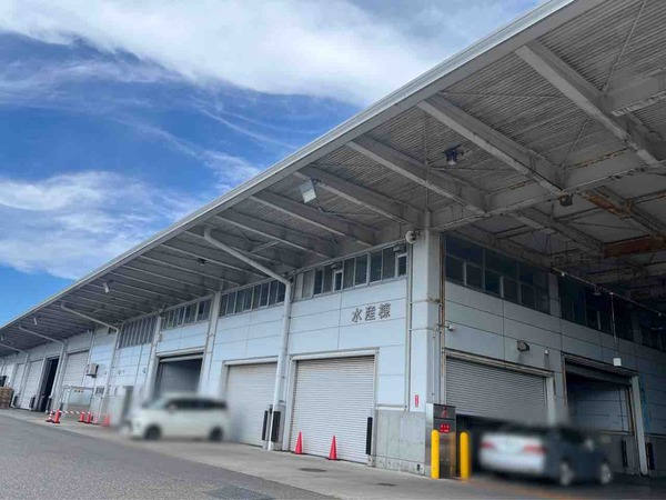 山津水産株式会社