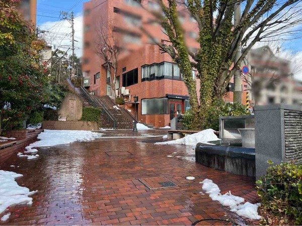 2025年2月 人気記事 にいがた速報