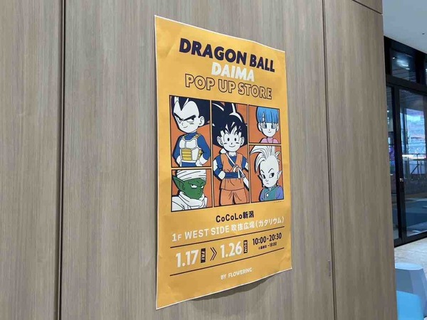 ドラゴンボールDAIMA POP UP　一番くじ POP-UP STORE