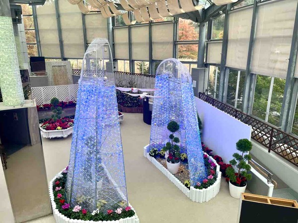 新潟県立植物園 クリスマス展
