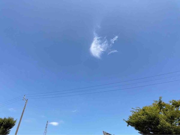 梅雨明け 新潟