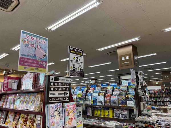 スタランド 新潟