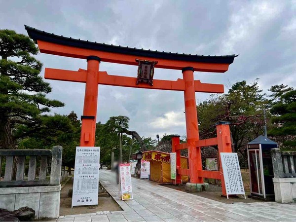 春の風物詩！『白山神社』で『白山さまの春まつり』開催！4月12日～18日。『百八灯献燈祭』事前申込受付中！4月1日まで。
