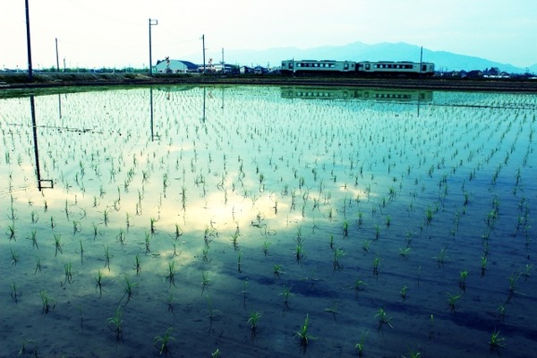 エキストラ募集