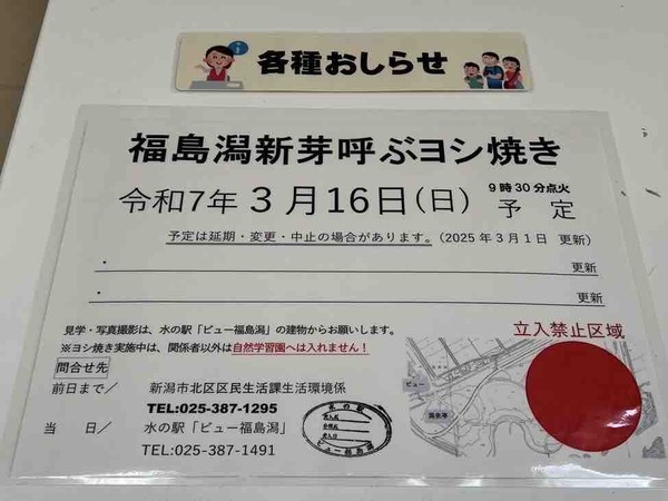 福島潟 新芽呼ぶヨシ焼き