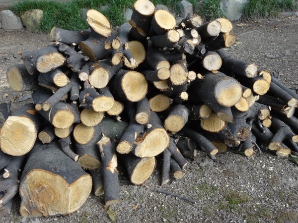 急傾斜地 伐採木 無償譲渡