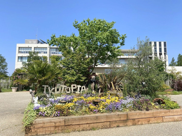 夏のイルミネーション