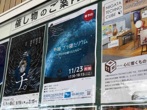 熟睡プラ寝たリウム