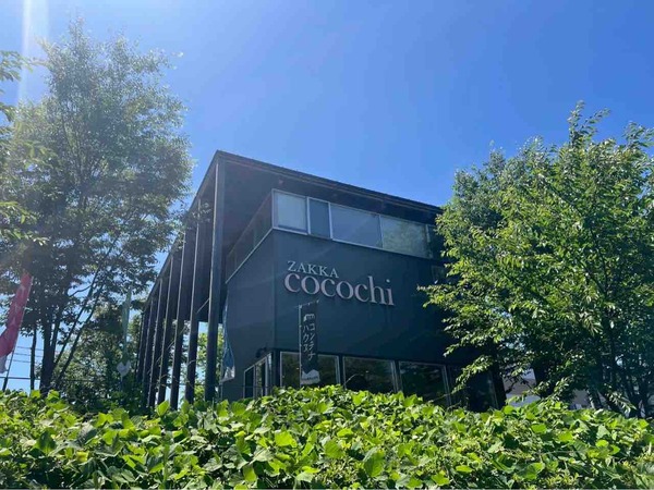 POPUP cocochi