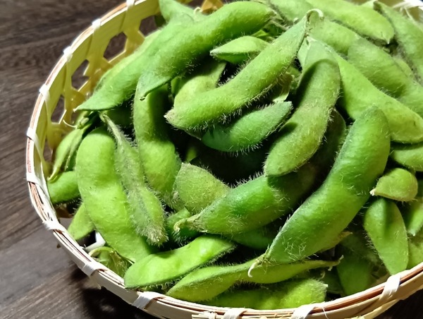 枝豆詰め放題