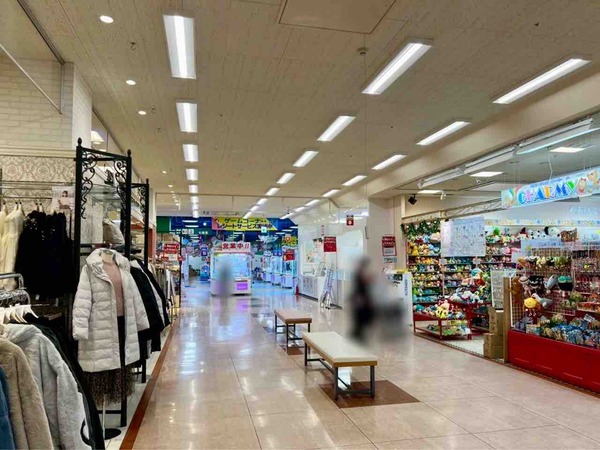 スタジオマリオ