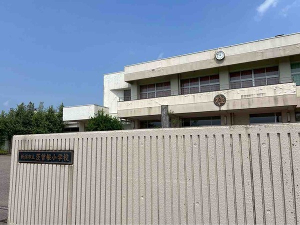 茨曽根サマーフェスティバル2025