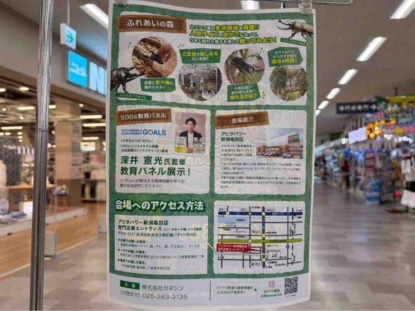 カブクワすごいぞ!!