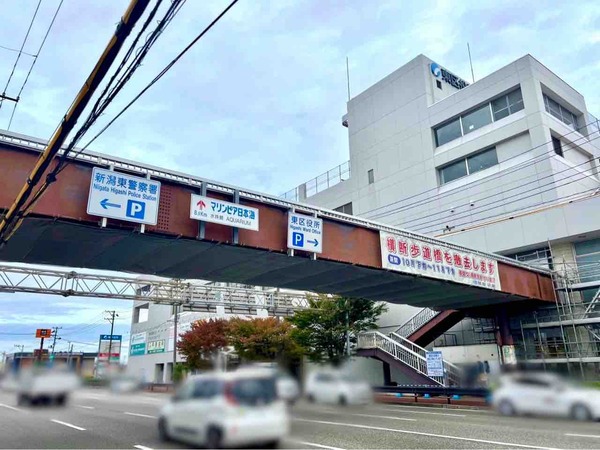 新潟市東区役所前 歩道橋