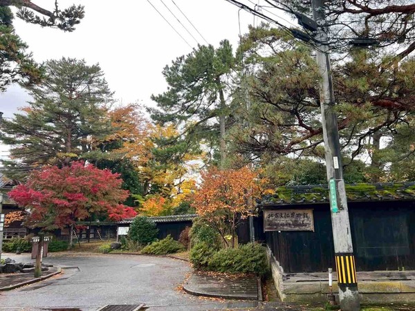 北方文化博物館　紅葉ライトアップ