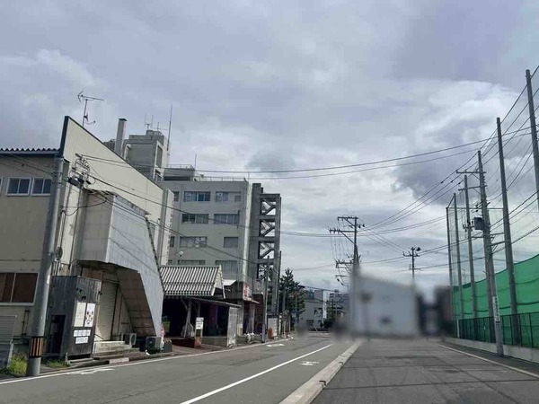 植物天国 in 白山市場