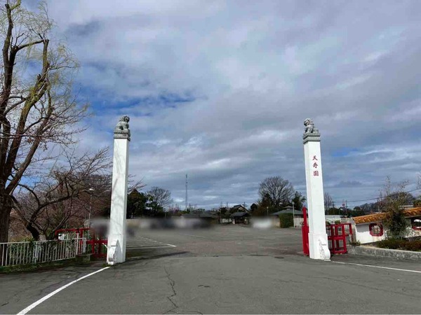 天寿園のみの市