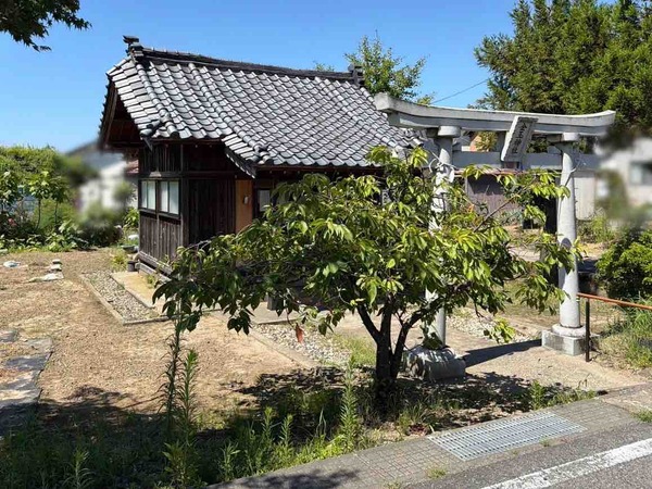白龍権現金玉神社