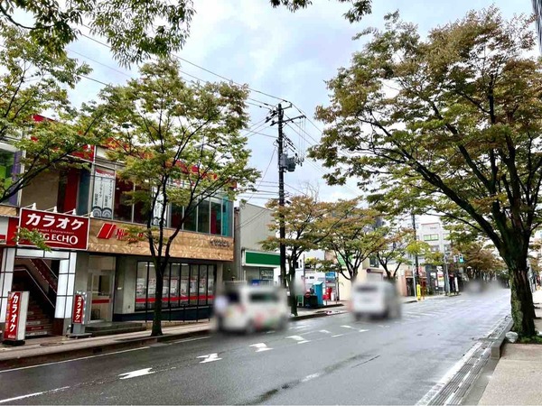 HACHIWARE（ハチワレ）