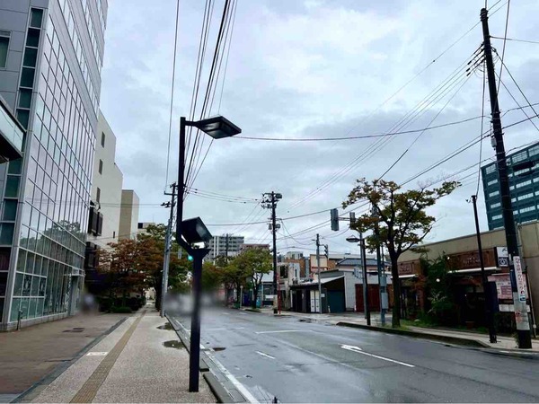 HACHIWARE（ハチワレ）