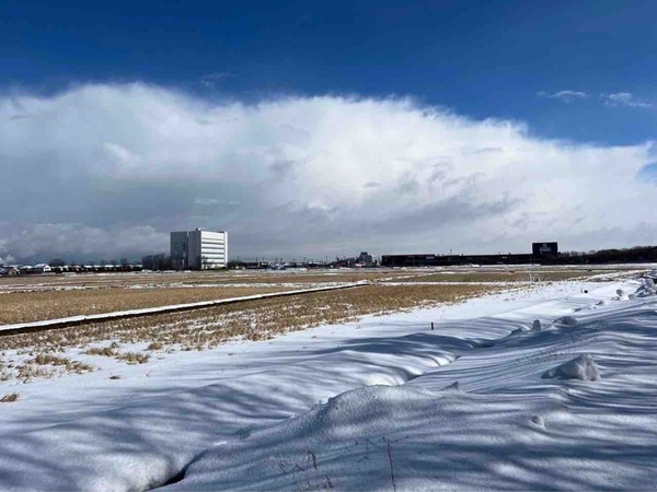 2025年2月　人気記事　にいがた速報