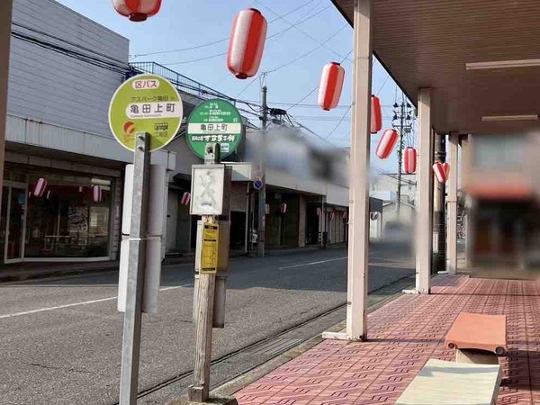 かめだ祭り